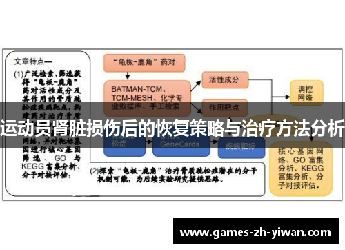 运动员肾脏损伤后的恢复策略与治疗方法分析 运动员肾脏损伤后的恢复策略与治疗方法分析